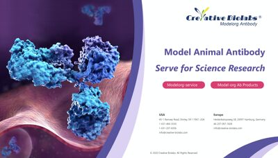 Monoclonal Antibody Development and Customization Services