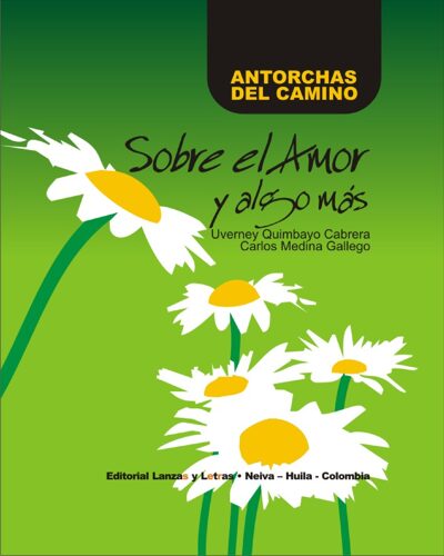 Sobre el amor y algo mas