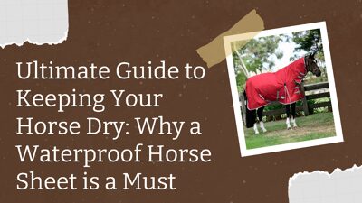 Ultimate Guide to Keeping Your Horse Dry: Why a Waterproof Horse Sheet is a Must